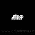 Ф 008